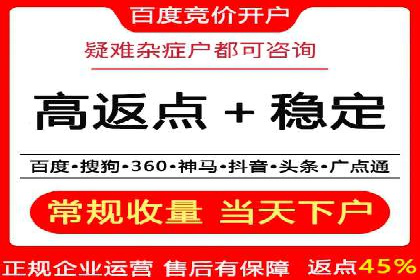 百度竞价赚钱的实战案例分析